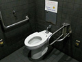 (5) Outside of ticket barrier, wheelchair friendly toilet