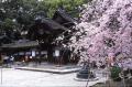 Imamiya-jinja Shrine