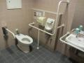 Zest Oike toilet