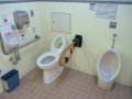 Public toilet at Horai-bashi bridge, Chushojima