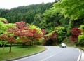 Okuhiei Driveway