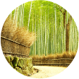 京都ユニバーサル観光ナビ 車いすレンタルin嵐山 嵐山 嵯峨野周遊とトロッコ列車で峡谷美を満喫するコース