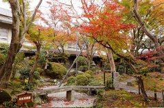 京都嵐山　花のいえ